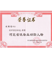 有这样的领导人我们新航星才会发展如此之快-酒店洗衣房设备